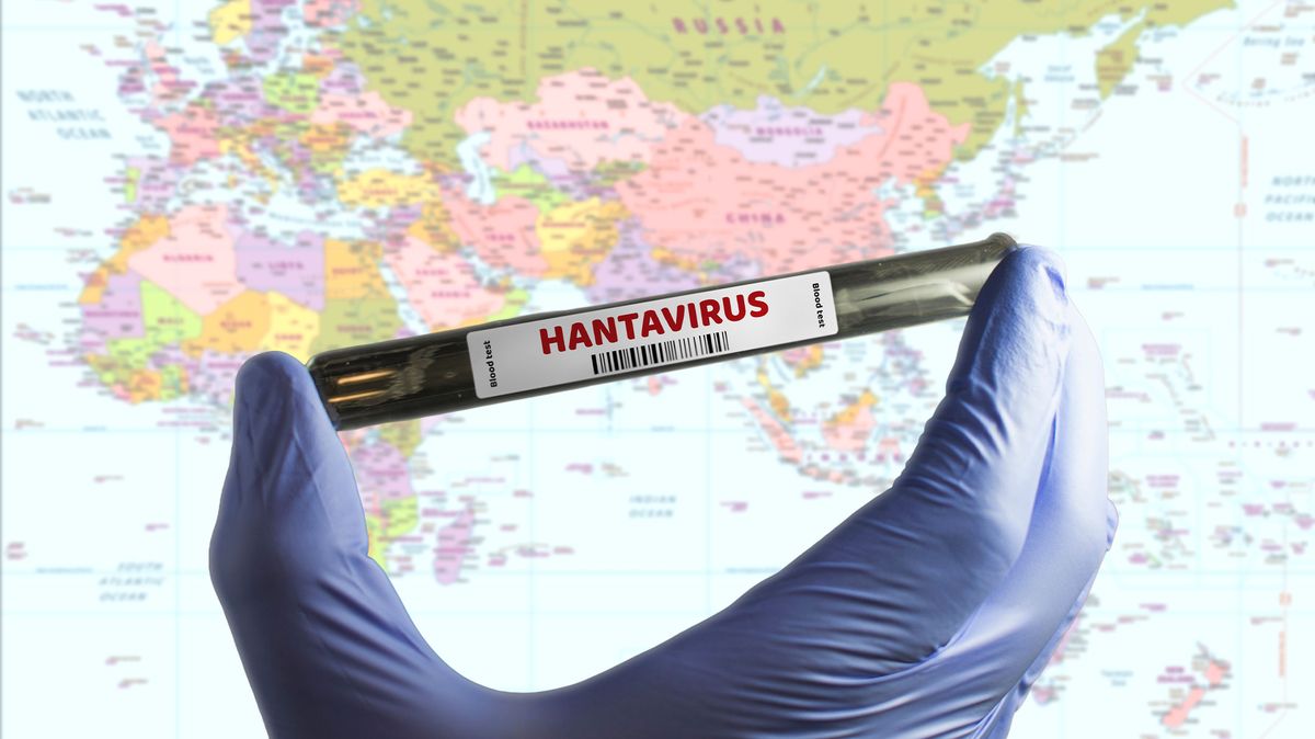 Hantavirus se přenáší z hlodavců na člověka