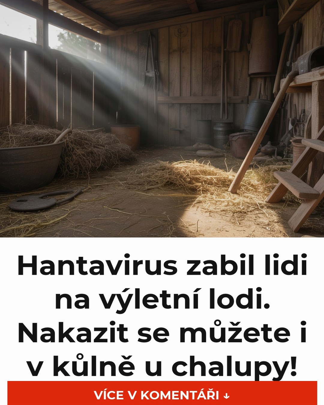 Hantavirus zabil lidi na výletní lodi. Nakazit se můžete i v kůlně u chalupy!