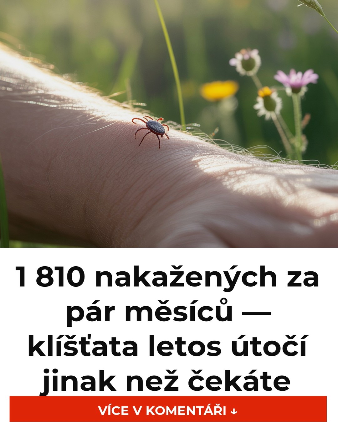 1 810 nakažených za pár měsíců — klíšťata letos útočí jinak než čekáte
