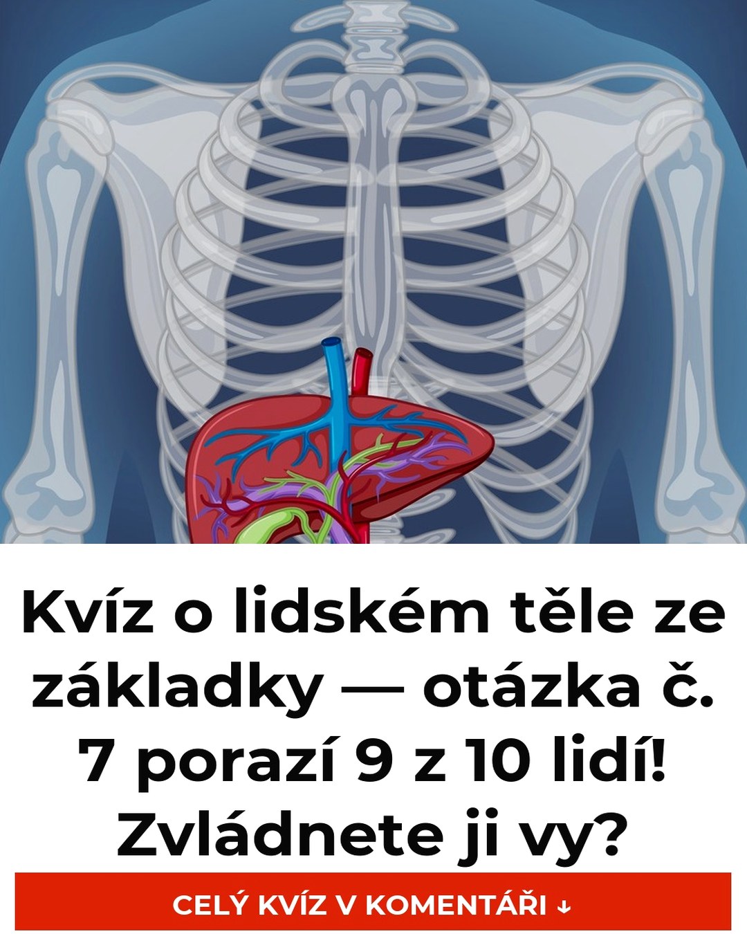 Kvíz o lidském těle ze základky — otázka č. 7 porazí 9 z 10 lidí! Zvládnete ji vy?