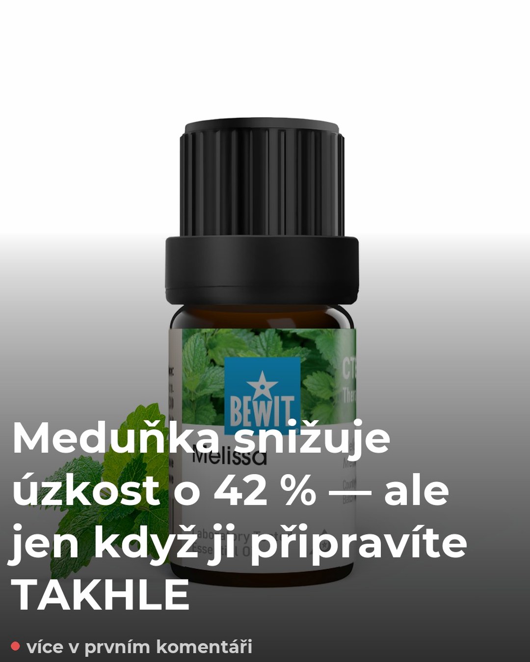 Meduňka snižuje úzkost o 42 % — ale jen když ji připravíte TAKHLE