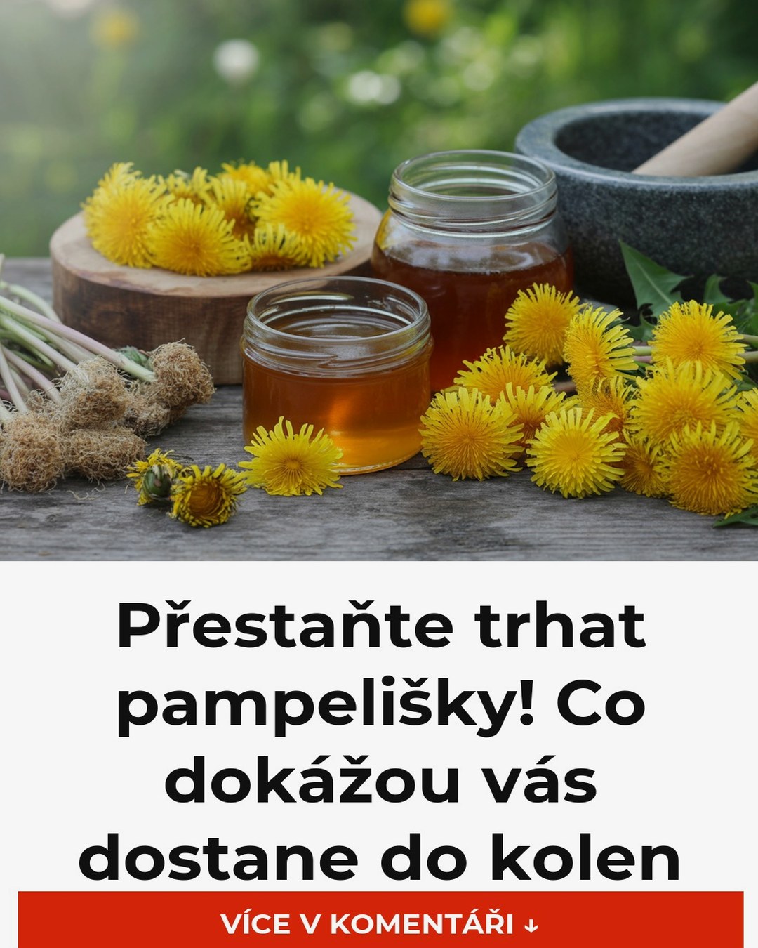 Přestaňte trhat pampelišky! Co dokážou vás dostane do kolen