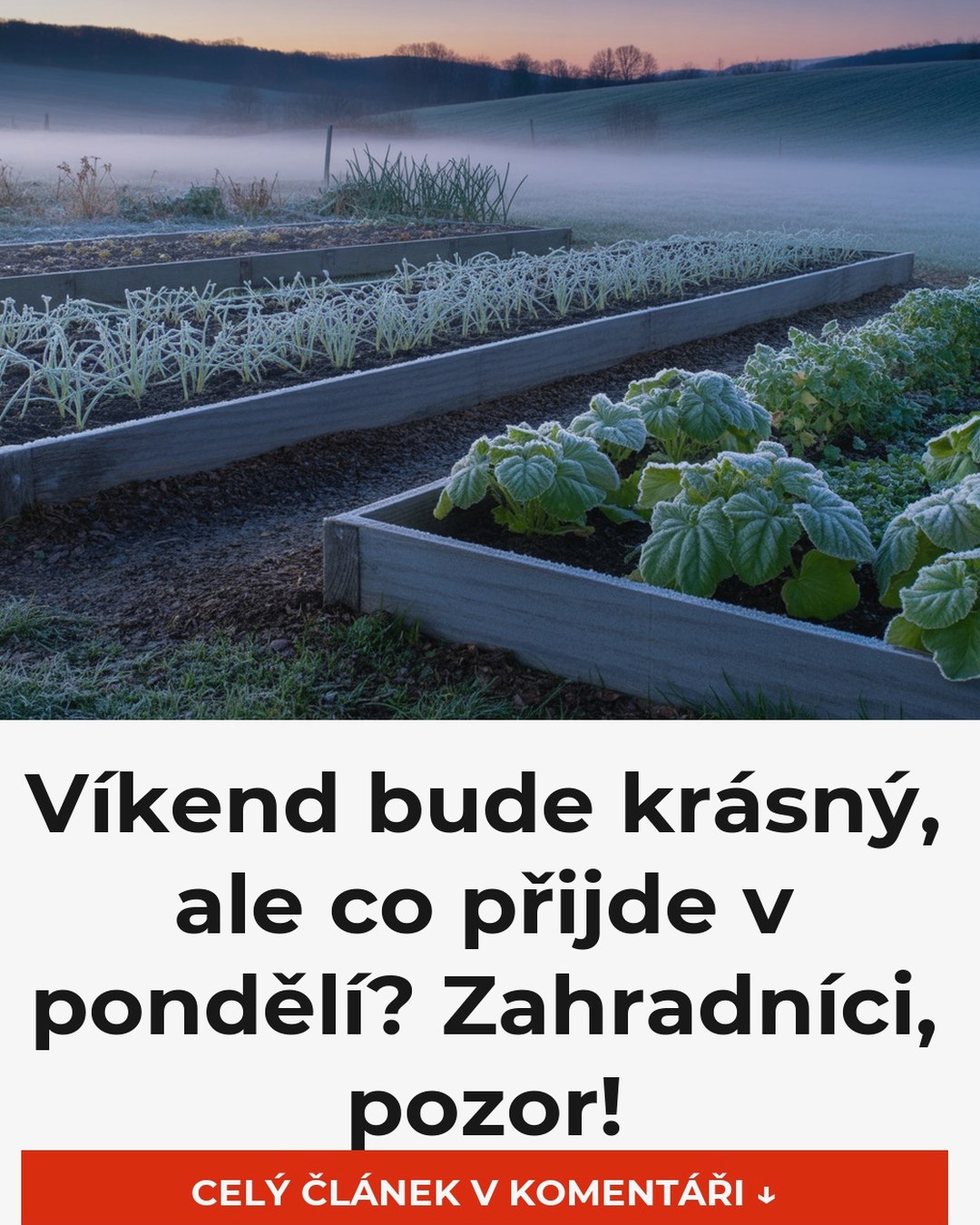 Víkend bude krásný, ale co přijde v pondělí? Zahradníci, pozor!