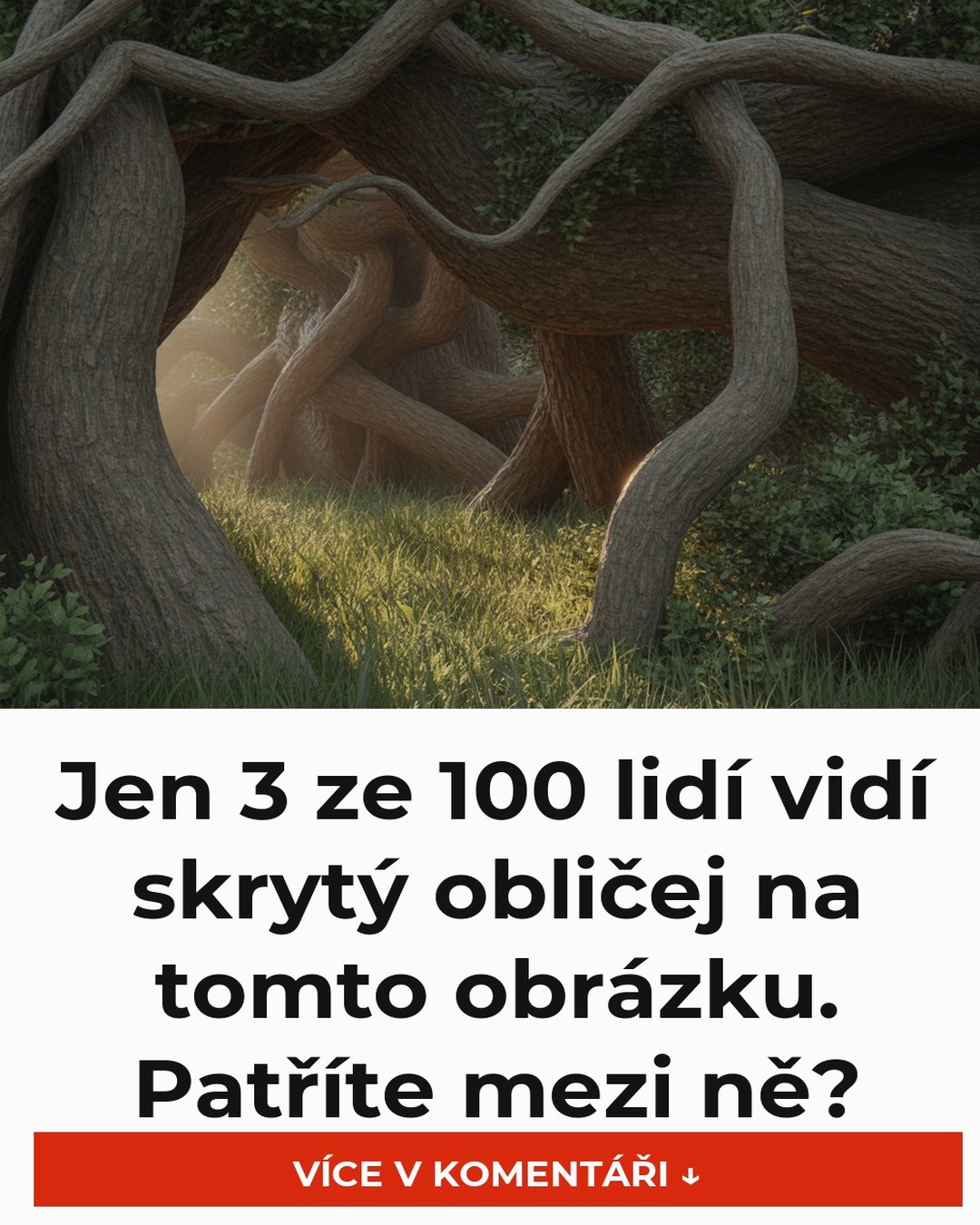 Jen 3 ze 100 lidí vidí skrytý obličej na tomto obrázku. Patříte mezi ně?