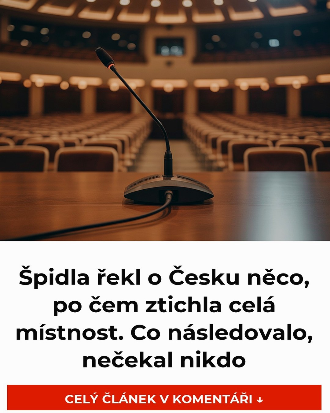 Špidla řekl o Česku něco, po čem ztichla celá místnost. Co následovalo, nečekal nikdo
