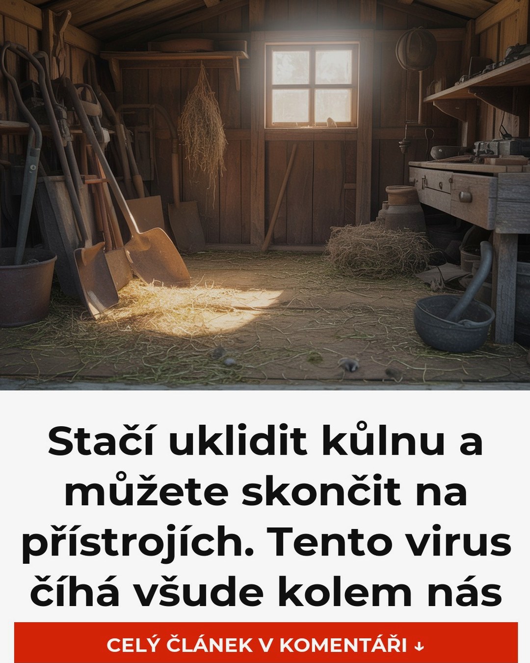 Stačí uklidit kůlnu a můžete skončit na přístrojích. Tento virus číhá všude kolem nás