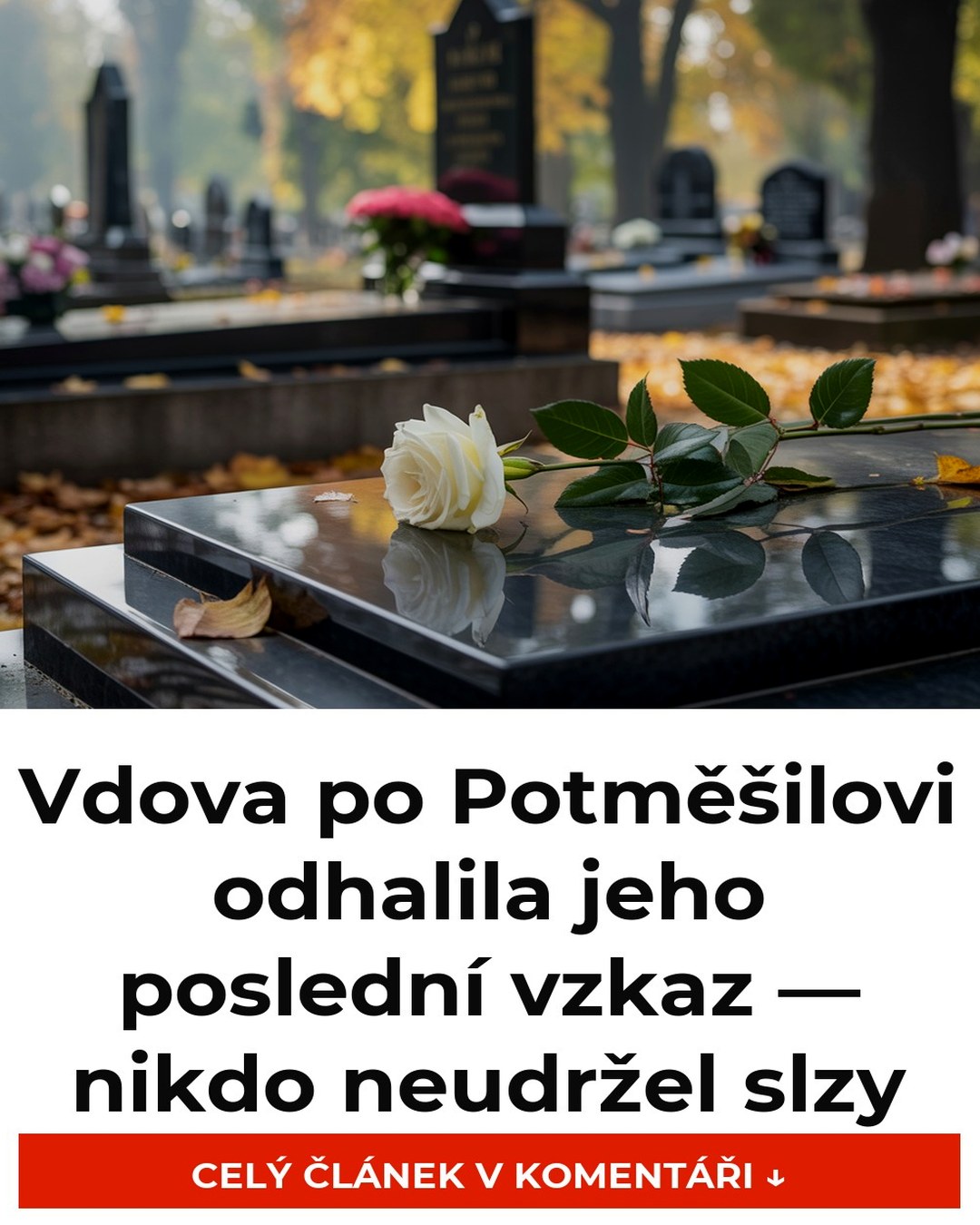 Vdova po Potměšilovi odhalila jeho poslední vzkaz — nikdo neudržel slzy
