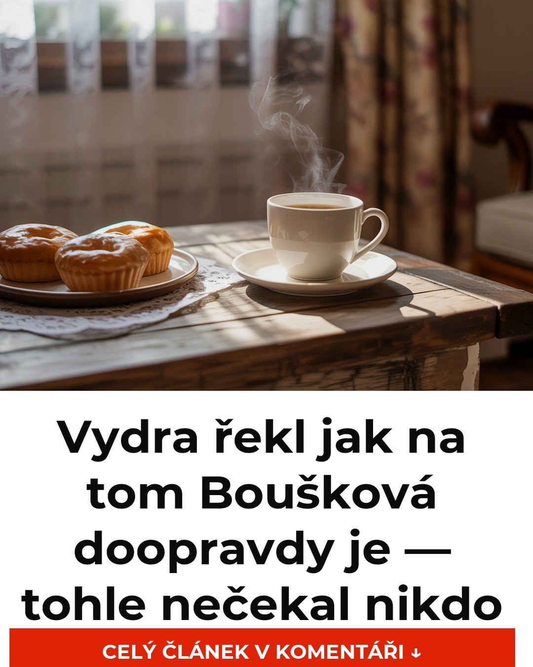 Vydra řekl jak na tom Boušková doopravdy je — tohle nečekal nikdo