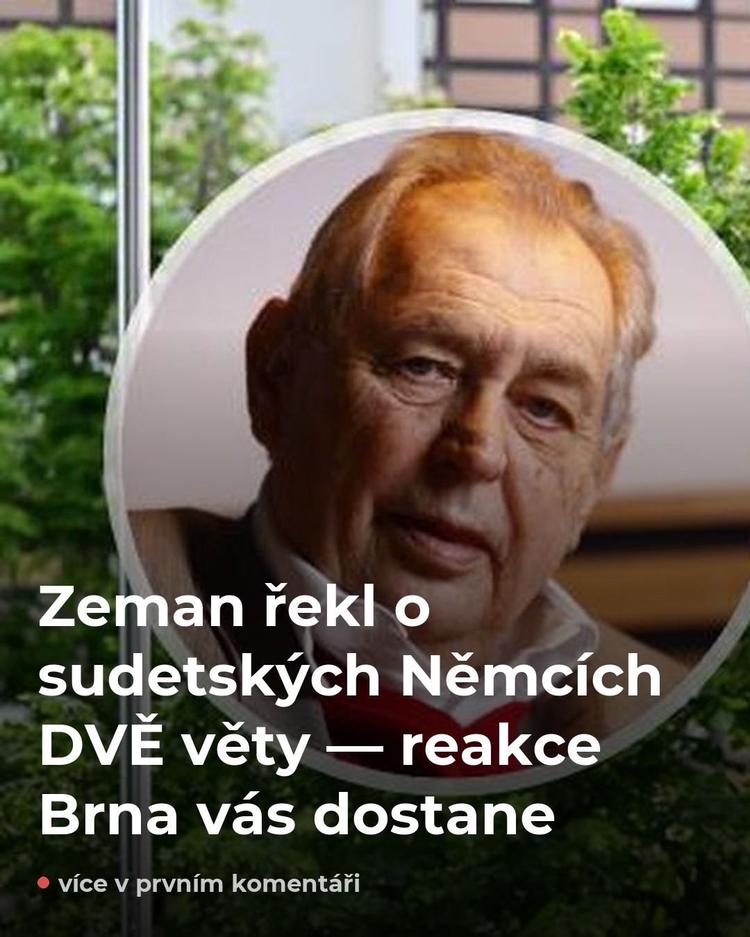 Zeman promluvil o sudetských Němcích — Brno ztichlo a Česko se rozdělilo