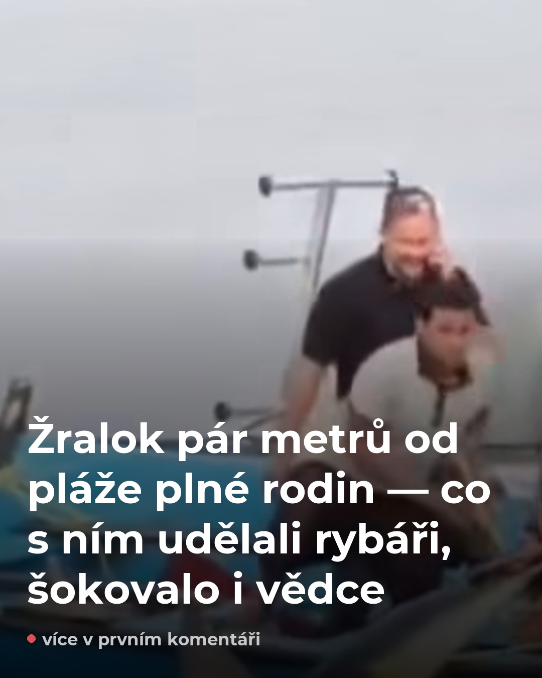 Žralok u pláže v Egyptě — rybáři udělali něco, co experti nečekali