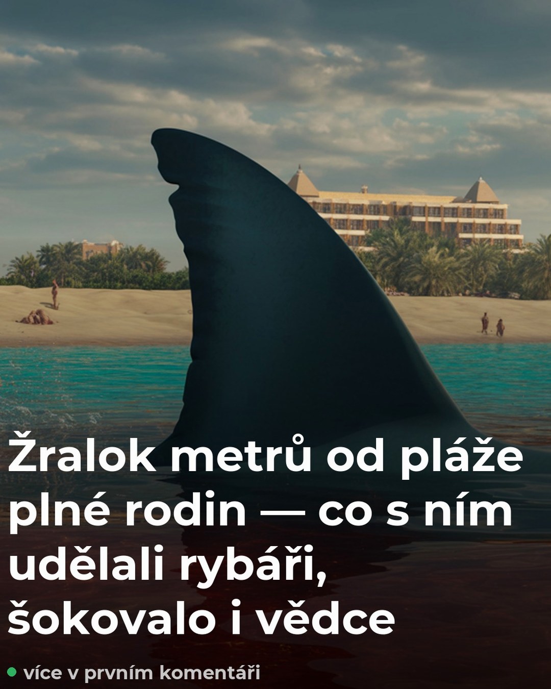 Žralok metrů od pláže plné rodin — co s ním udělali rybáři, šokovalo i vědce