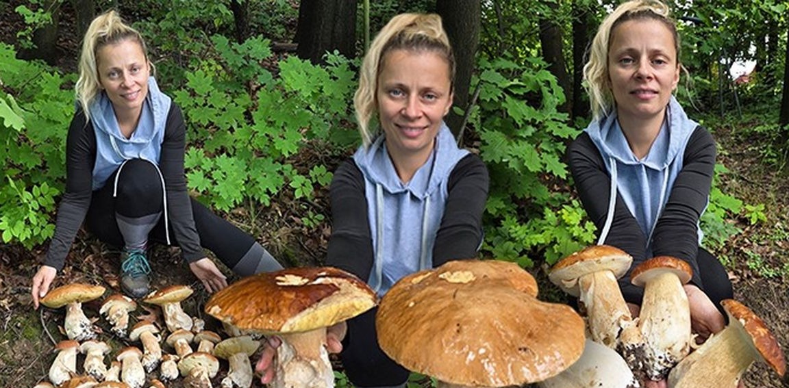 Bardoňovi z Havířova opět udeřili — hřiby v Beskydech mají klobouky jako kola