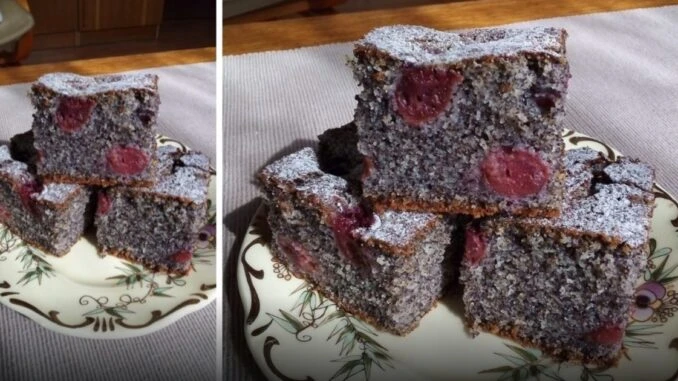Šťavnatý makový koláč s třešněmi posypaný moučkovým cukrem