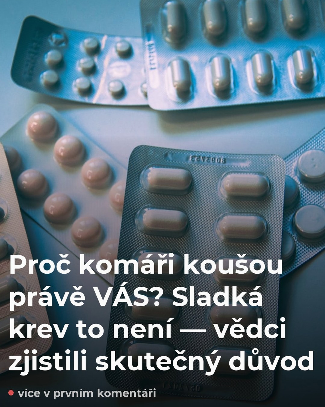 Proč komáři koušou právě VÁS? Sladká krev to není — vědci zjistili skutečný důvod