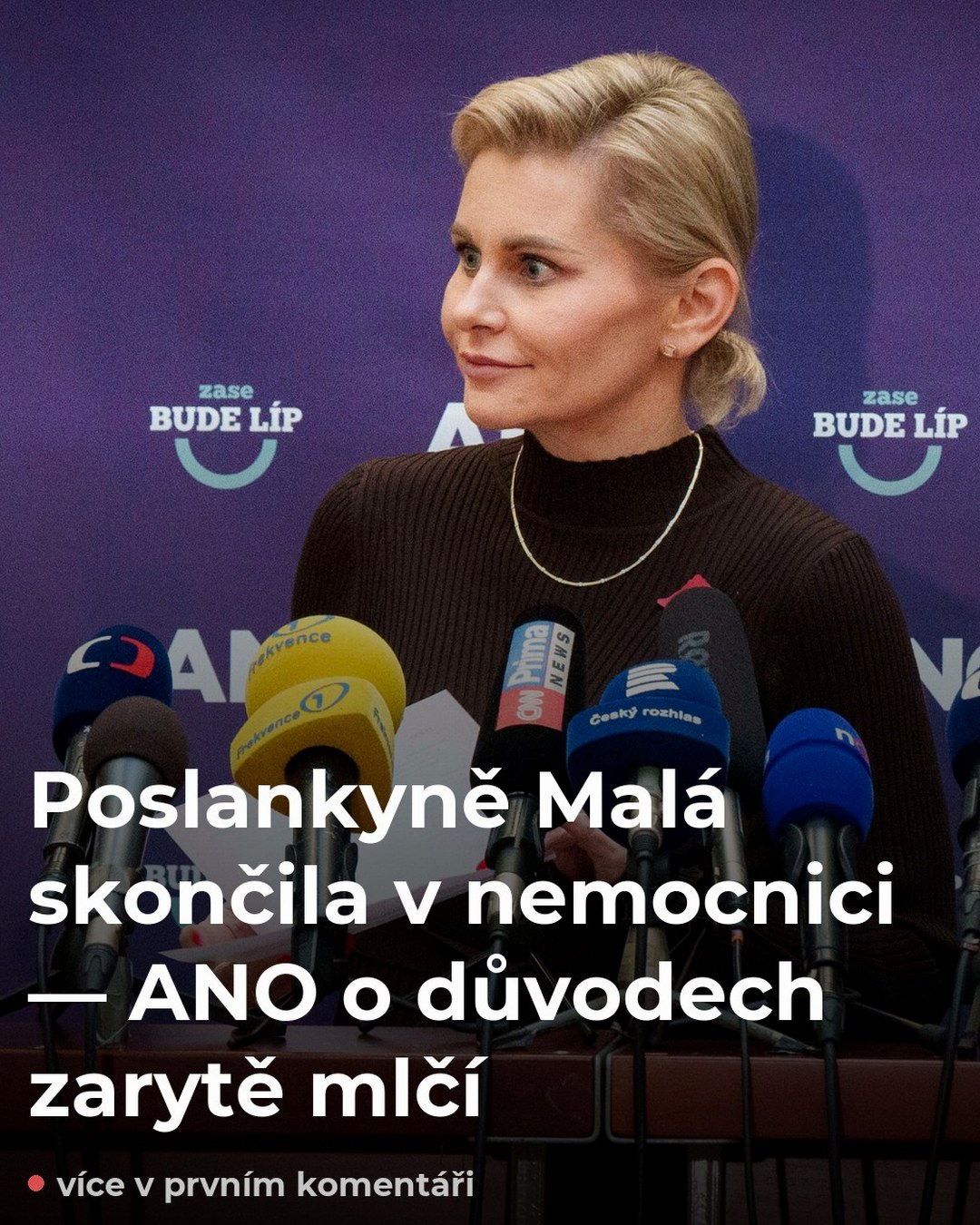 Poslankyně Malá je v nemocnici — ANO mlčí. Co se vlastně stalo?