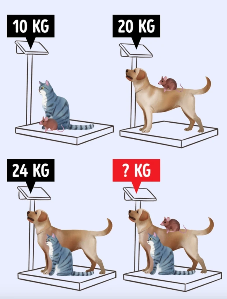 Logická hádanka: Dokážete zjistit, kolik váží kočka, pes a myš?