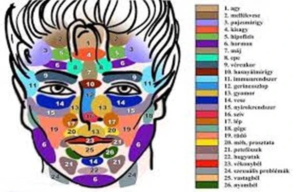 Mapa obličeje podle čínské medicíny: co říká vaše pleť o zdraví?