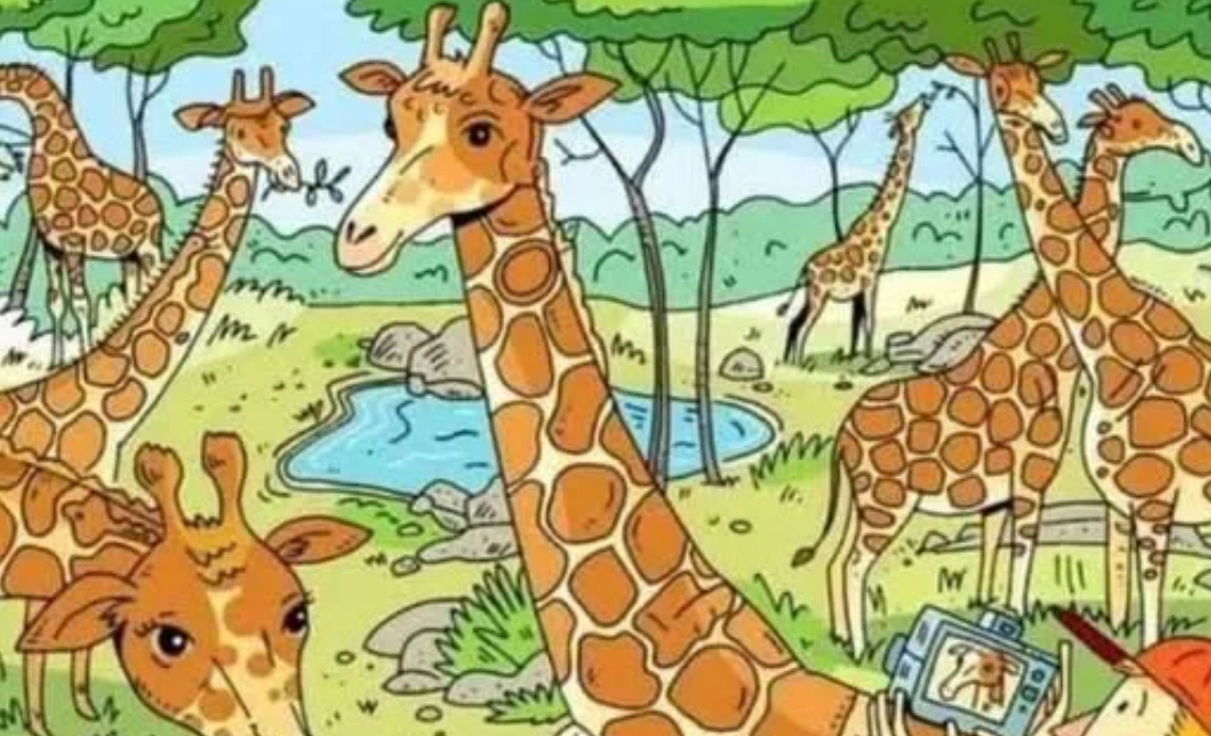 Najdete schovanou mrkev? Tento obrázek mate i bystré oči