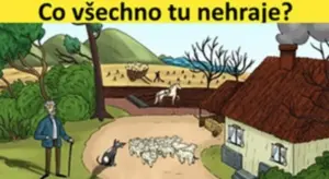Hádanka pro ostré oči: Najdete všech 24 chyb na obrázku?