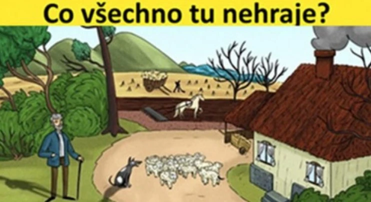 Hádanka pro ostré oči: Najdete všech 24 chyb na obrázku?