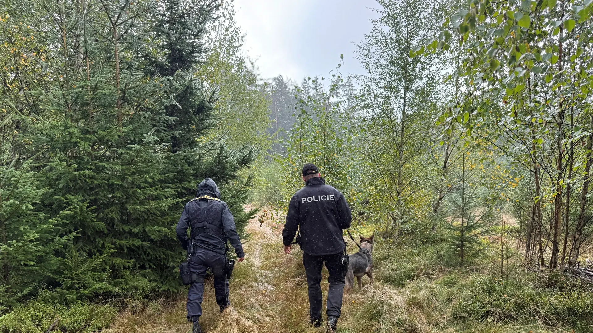 Alena (72) trpí demencí a ztratila se manželovi v lese na houbách! Policie pátrá a čas se krátí!