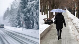Meteorolog varuje: letošní zima bude výjimečně krutá, v některých oblastech napadne hodně sněhu! Kde to bude nejhorší a jak se připravit?