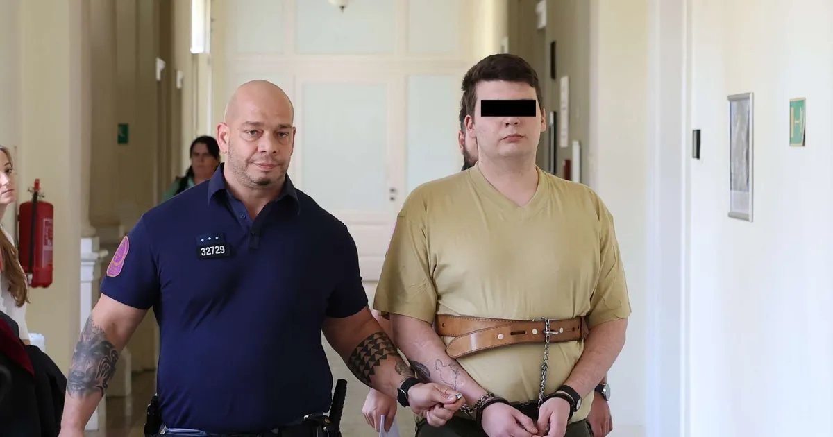 Polil přítelkyni benzinem a zapálil ji: sadista dostal výjimečný trest 21 let