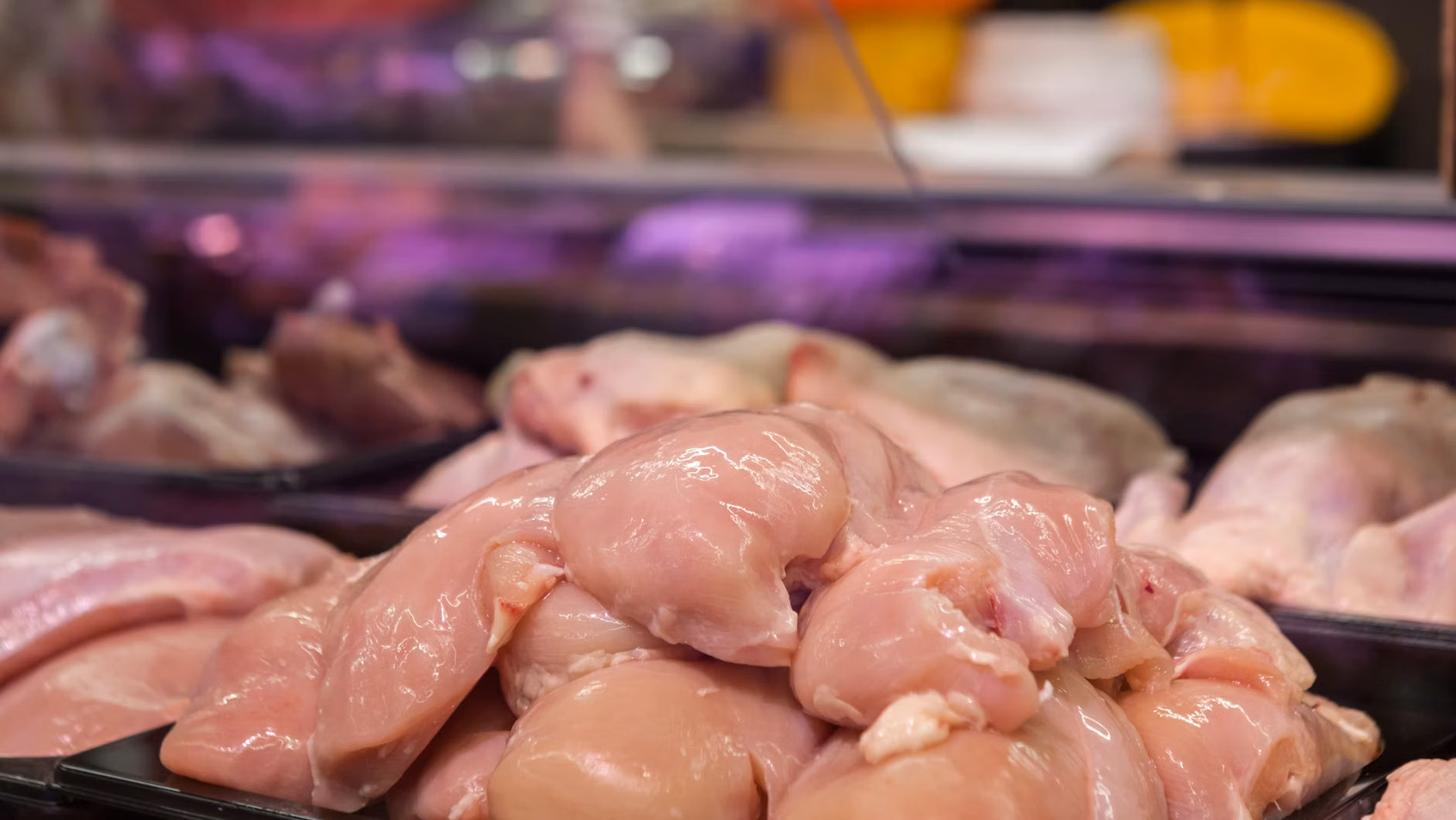 SZPI varuje: V kuřecím mase z Lidlu se našla salmonela. Zkontrolujte svůj mrazák