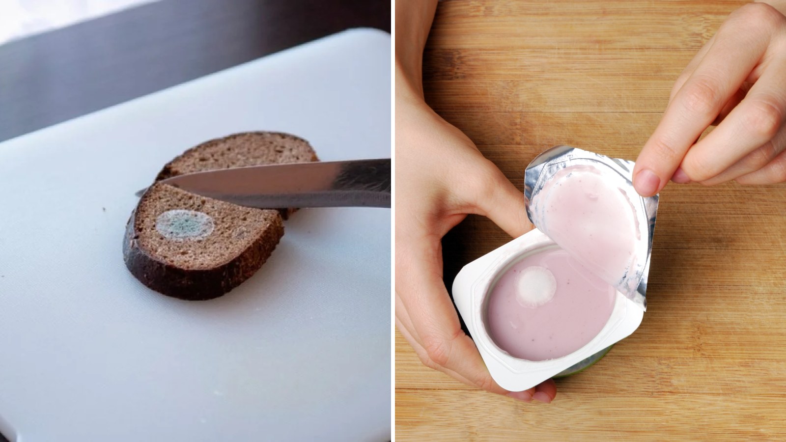 Plíseň na jídle nestačí jen odkrojit, může způsobovat i rakovinu! Proč je to jeden z nejrozšířenějších omylů v kuchyni?